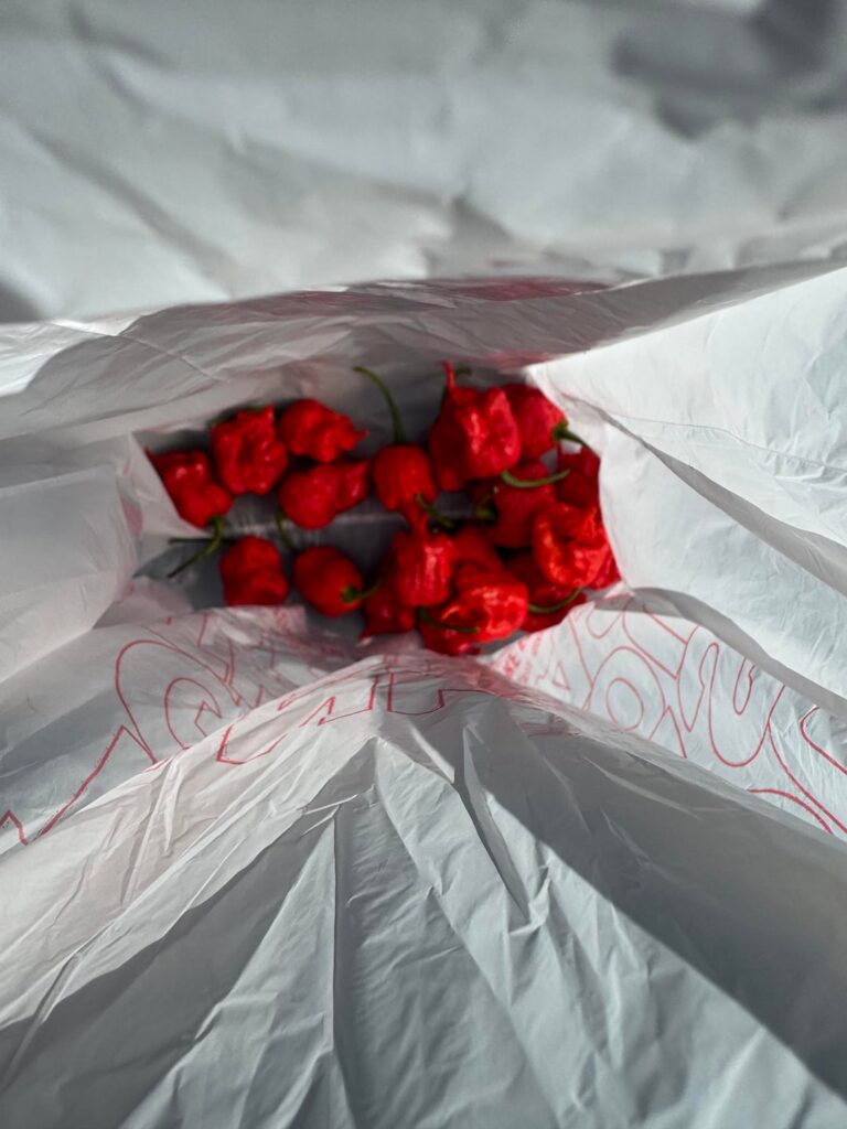 I made some smoked Carolina Reaper flakes for my hot sauce lover stepdad. Recipe in comments.