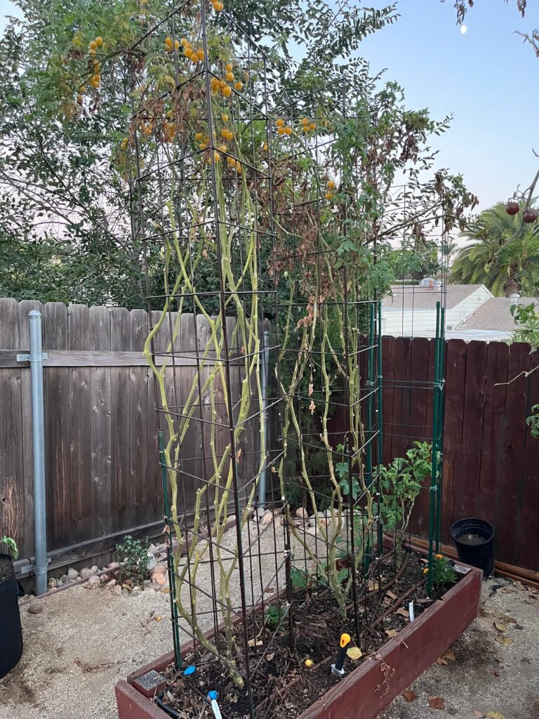 What did I do wrong? What did I do wrong?