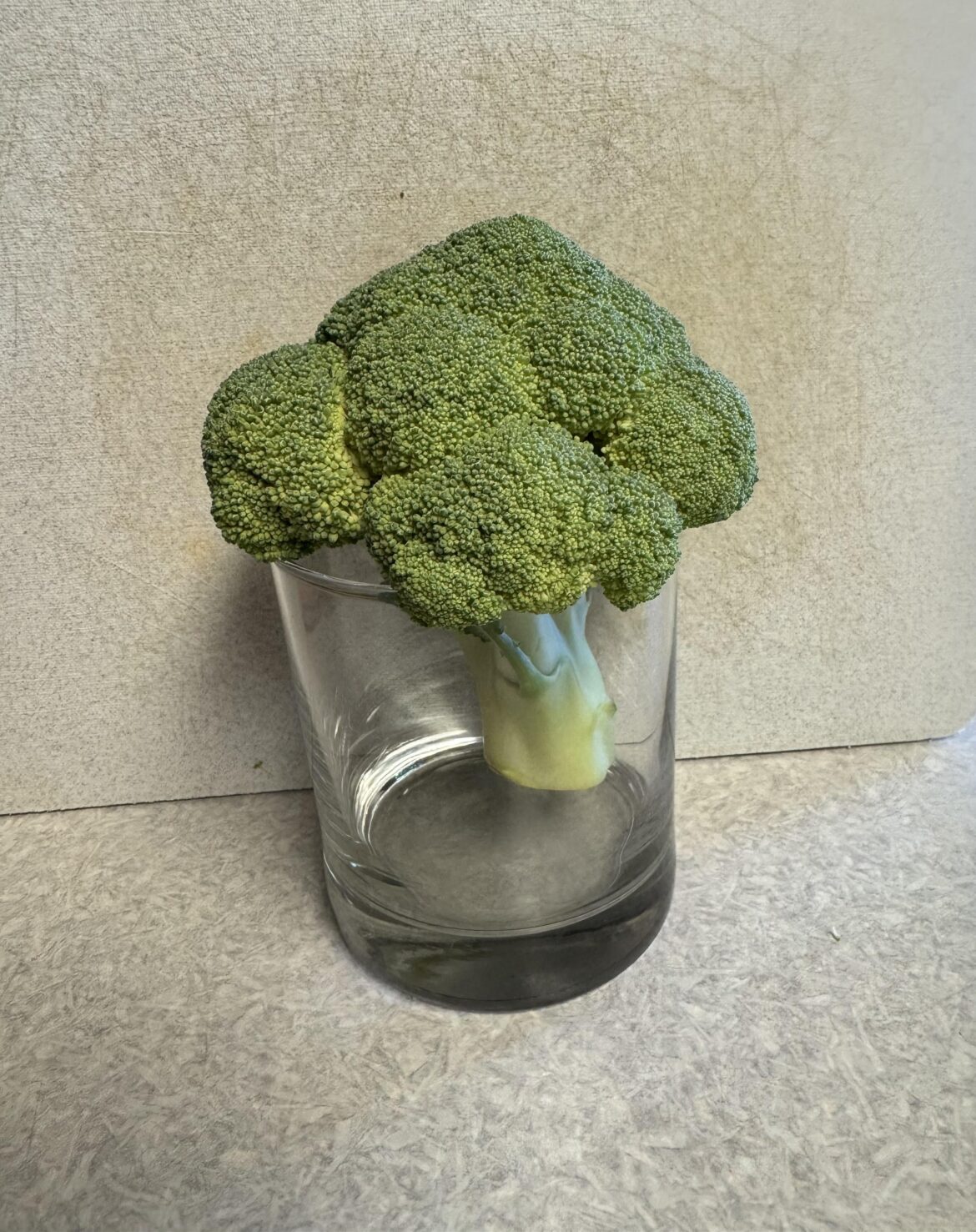 But where’s the rest of the broccoli?? No