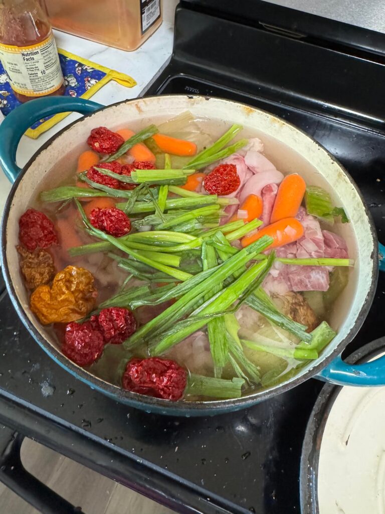 Got a Nasty Cold, So I Made Super Hot Stock