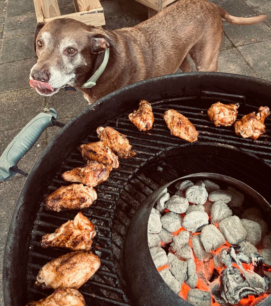 Cheers to all the wingdogs out there