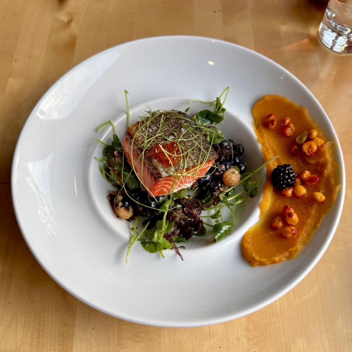 Lifecycle of Salmon and Fried Clams