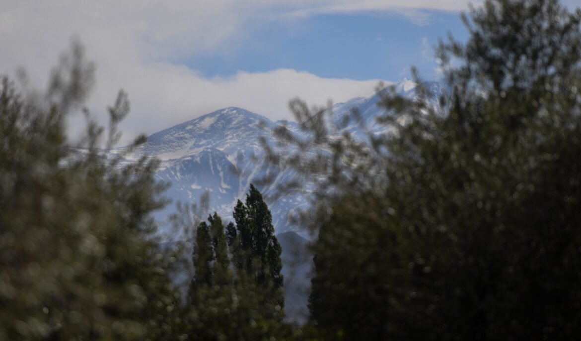 What does the future hold for Argentine wine?