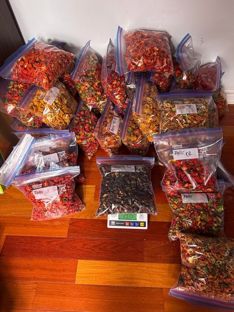 23lbs+ dried and bagged 23lbs+ dried and bagged