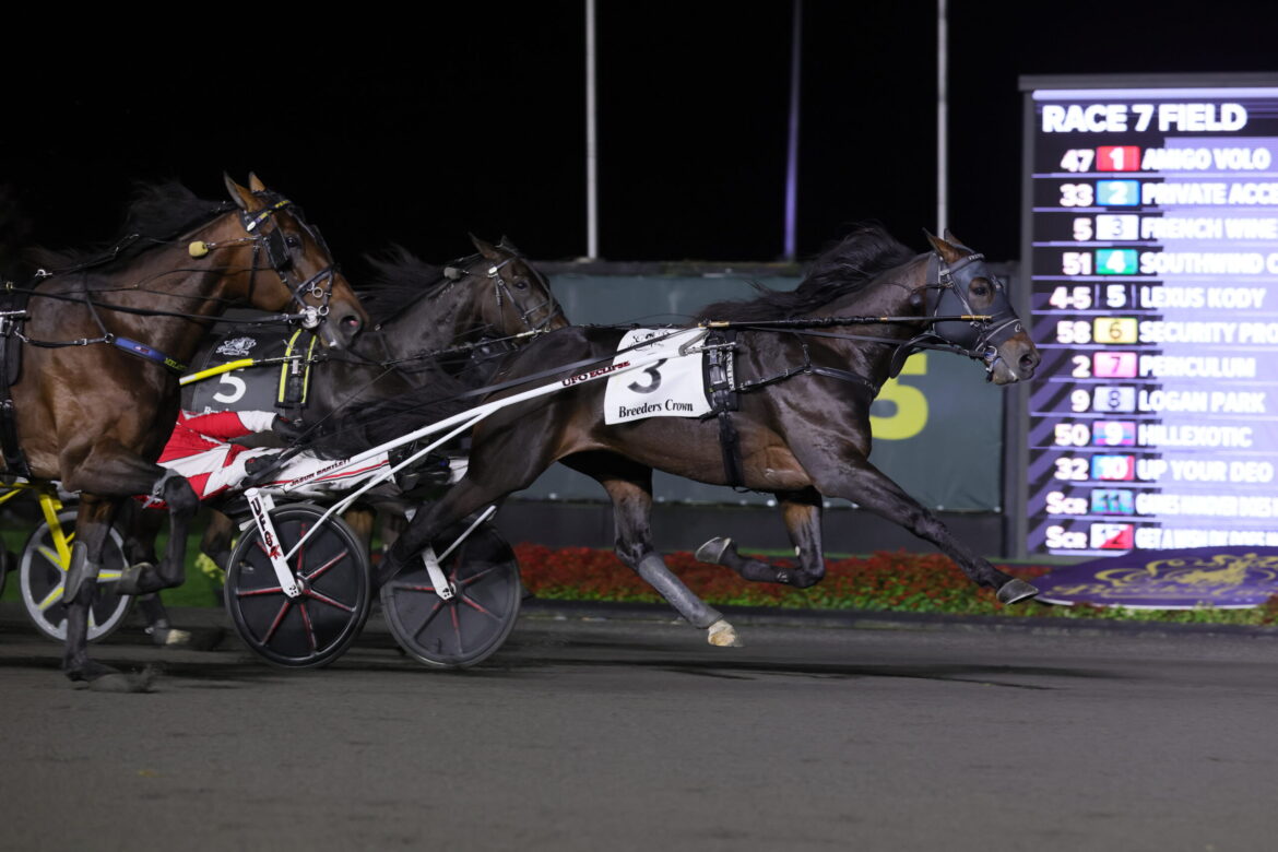 French Wine captures Breeders Crown Open Trot