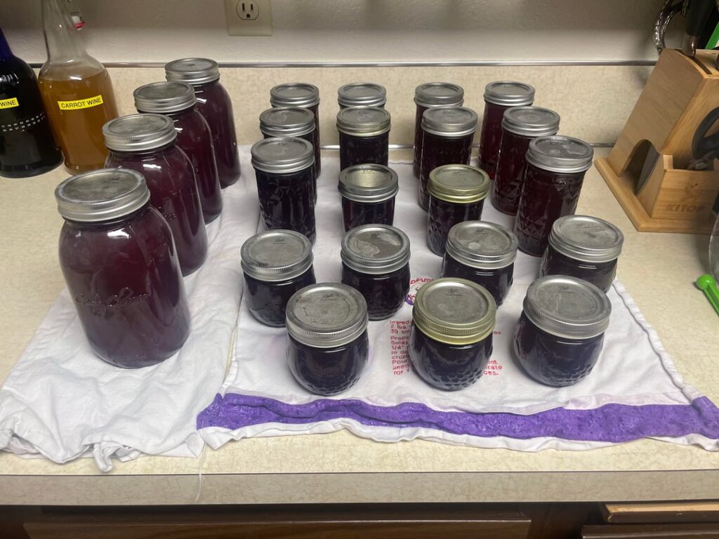 Made it through grape-pocalypse!