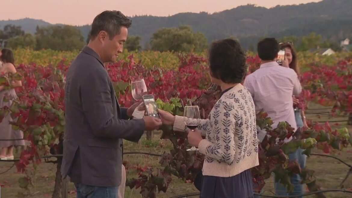 Can Wine Country 'crush parties' help pull the industry out of its slump?