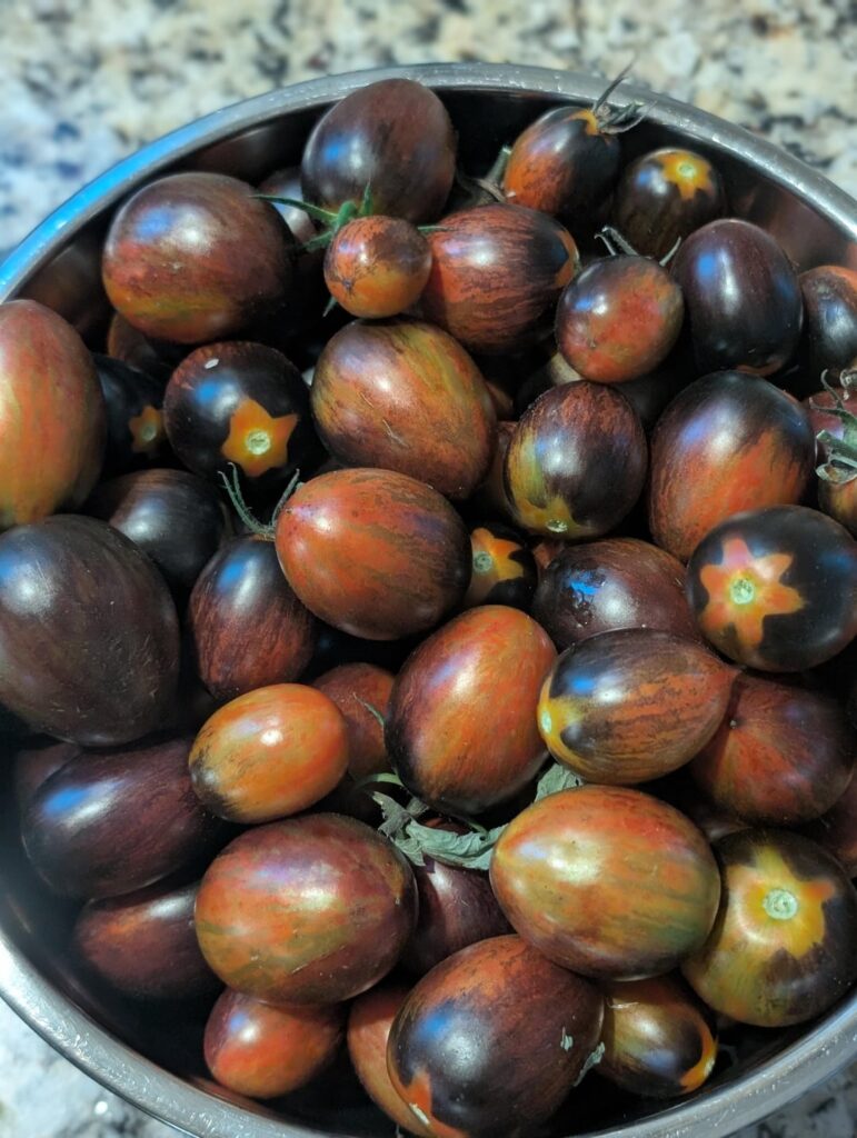 Brad's Atomic - totally changed my mind