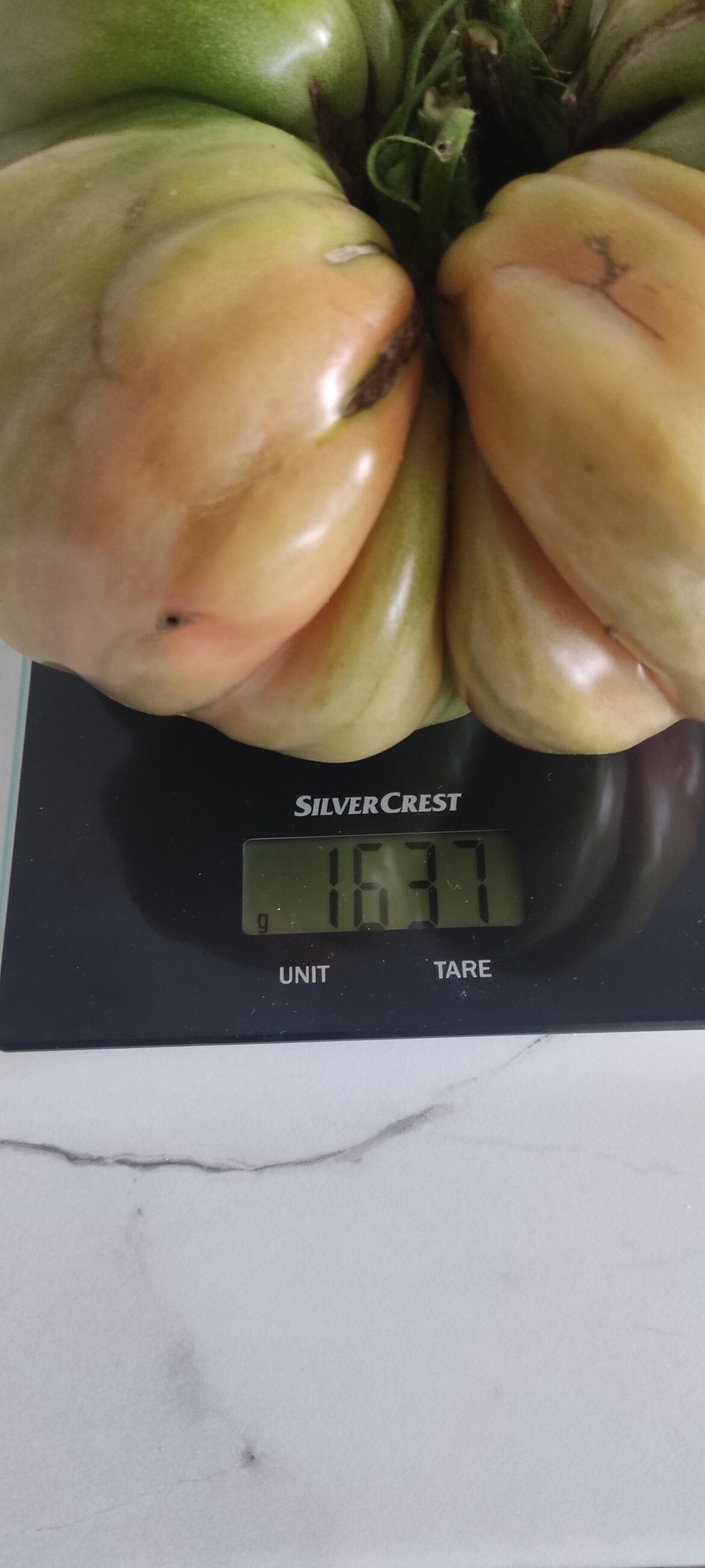 Decided it is time to bring this bad boy in house