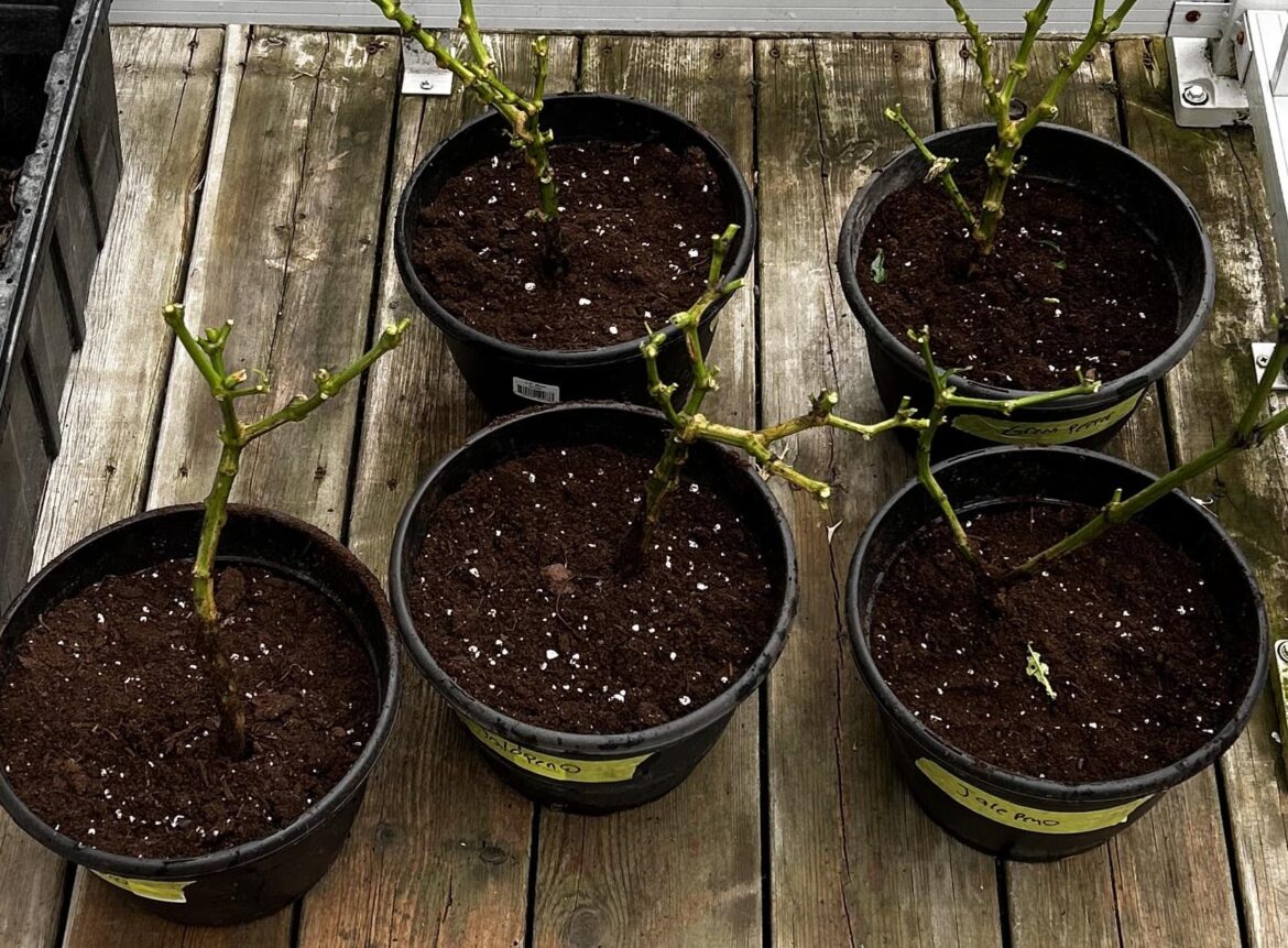 Bout that time of year!