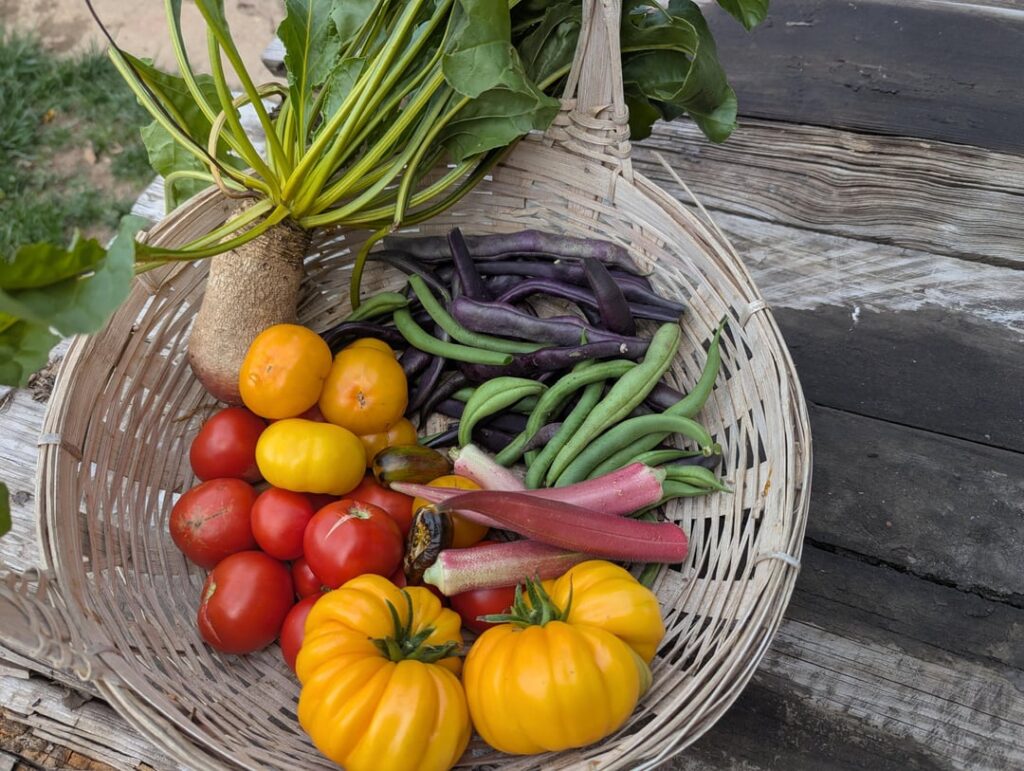 Every week we're getting a great harvest. Holding my breath until the season ends.