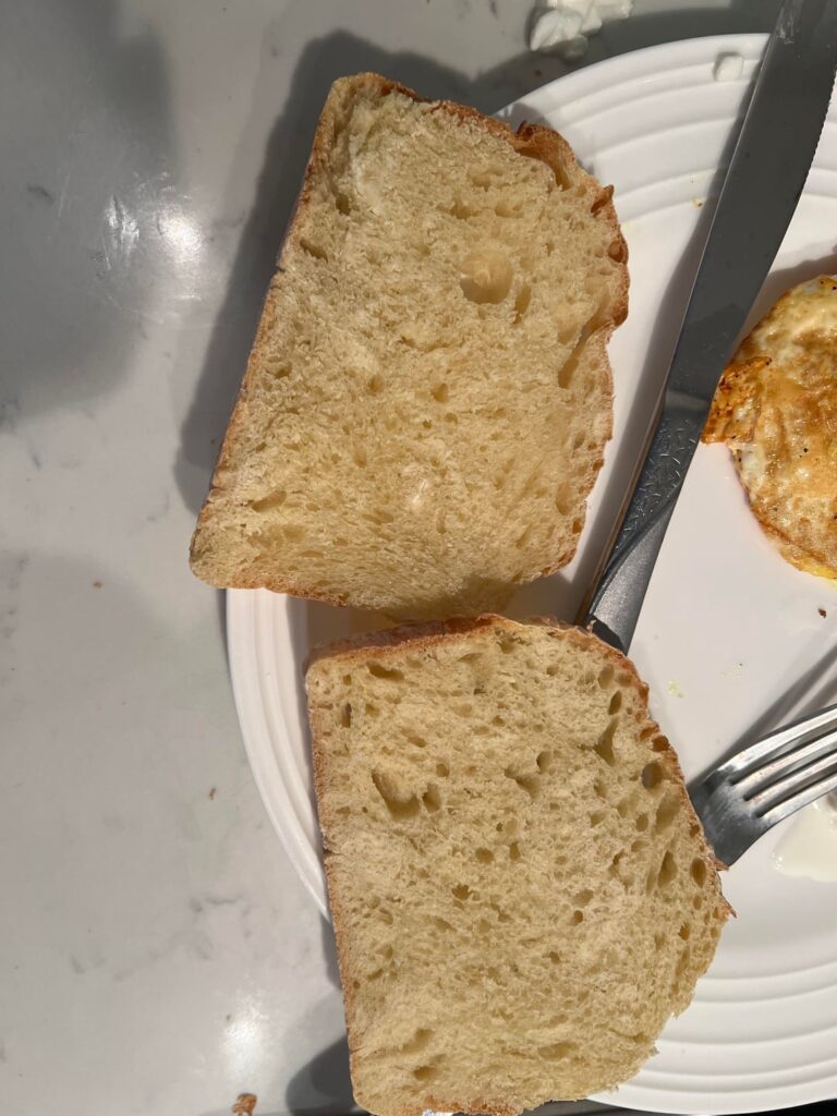 Why doesn’t my bread toast?