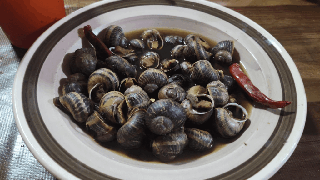 snail soup 😋
