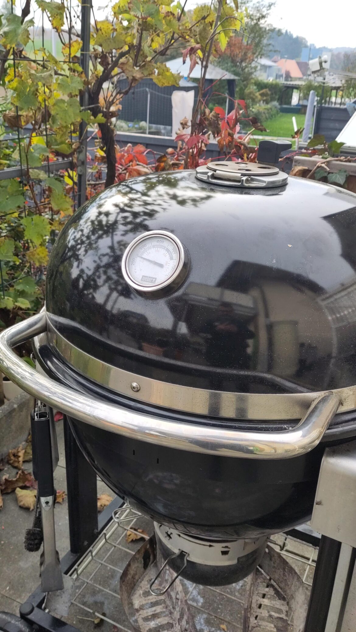 Summit Charcoal im Herbst