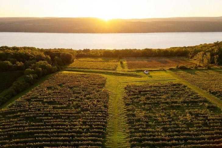 Finger Lakes named Wine Enthusiast’s 2025 American Wine Region of the Year Finger Lakes named Wine Enthusiast's 2025 American Wine Region of the Year