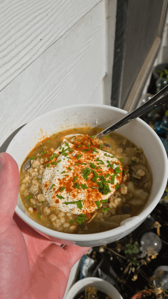 Central/Eastern European-inspired Mushroom and Barley Soup