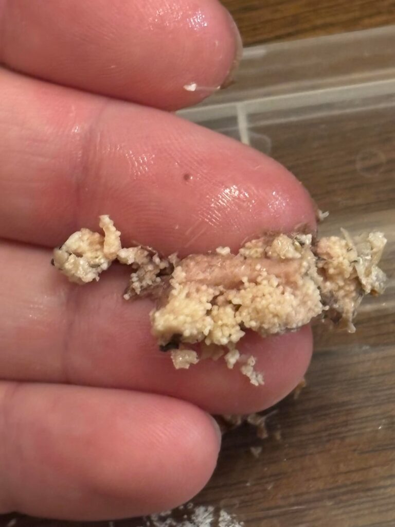 Did I just find Sardine roe?