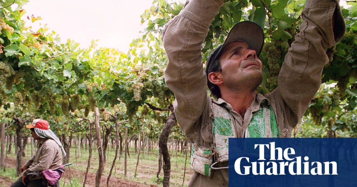 Not all Argentinian red wine is malbec | Wine