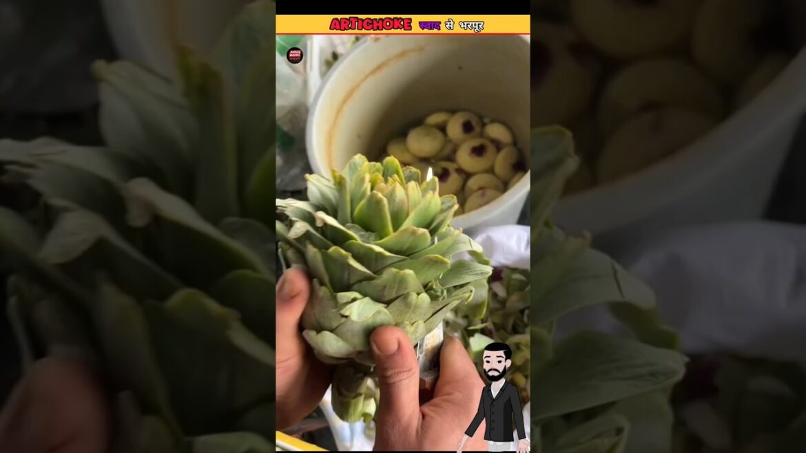 Unlocking the Secrets of Artichoke: Culinary Delights! #shorts #youtubeshorts #facts #factsinhindi