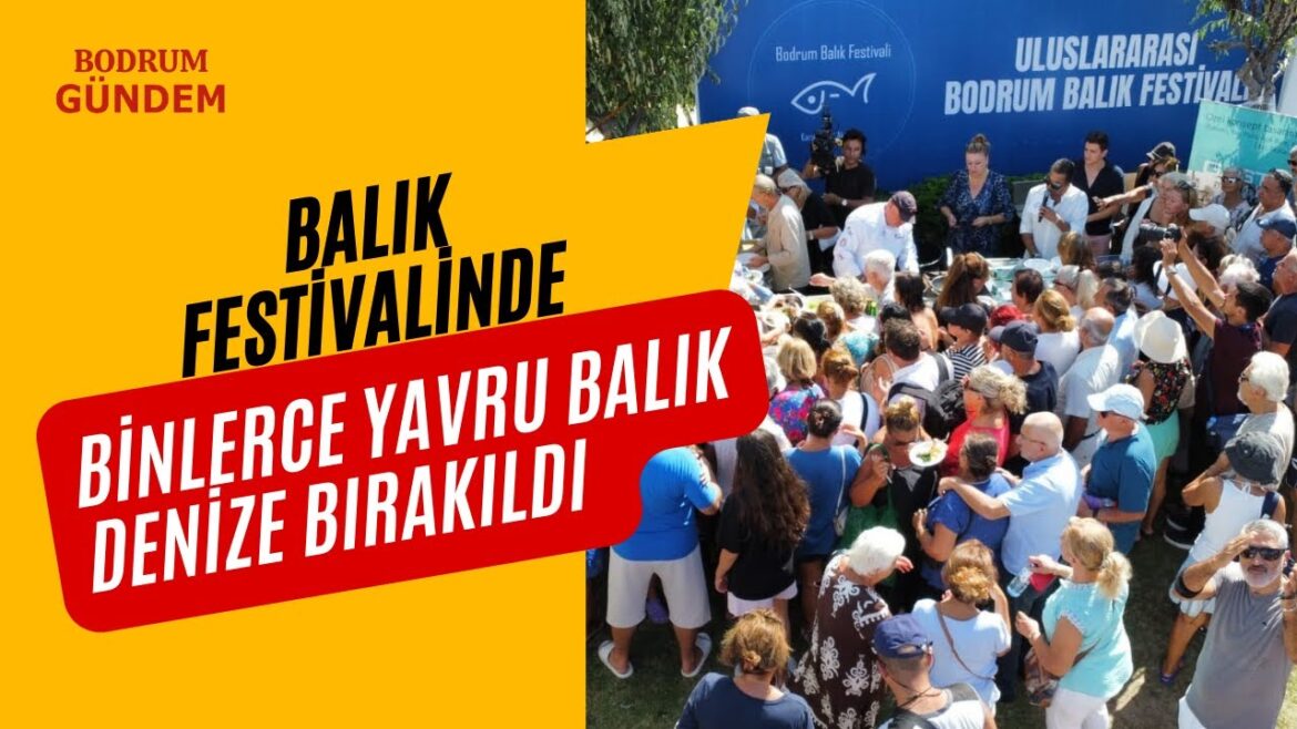 Balık festivalide binlerce yavru balık denize bırakıldı Balık festivalide binlerce yavru balık denize bırakıldı