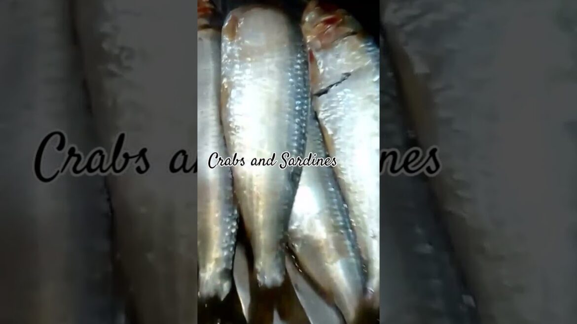 Cooking Fresh crabs and Sardines #Shorts