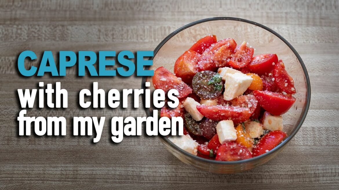 How to make famous Italian CAPRESE salad - Recipe