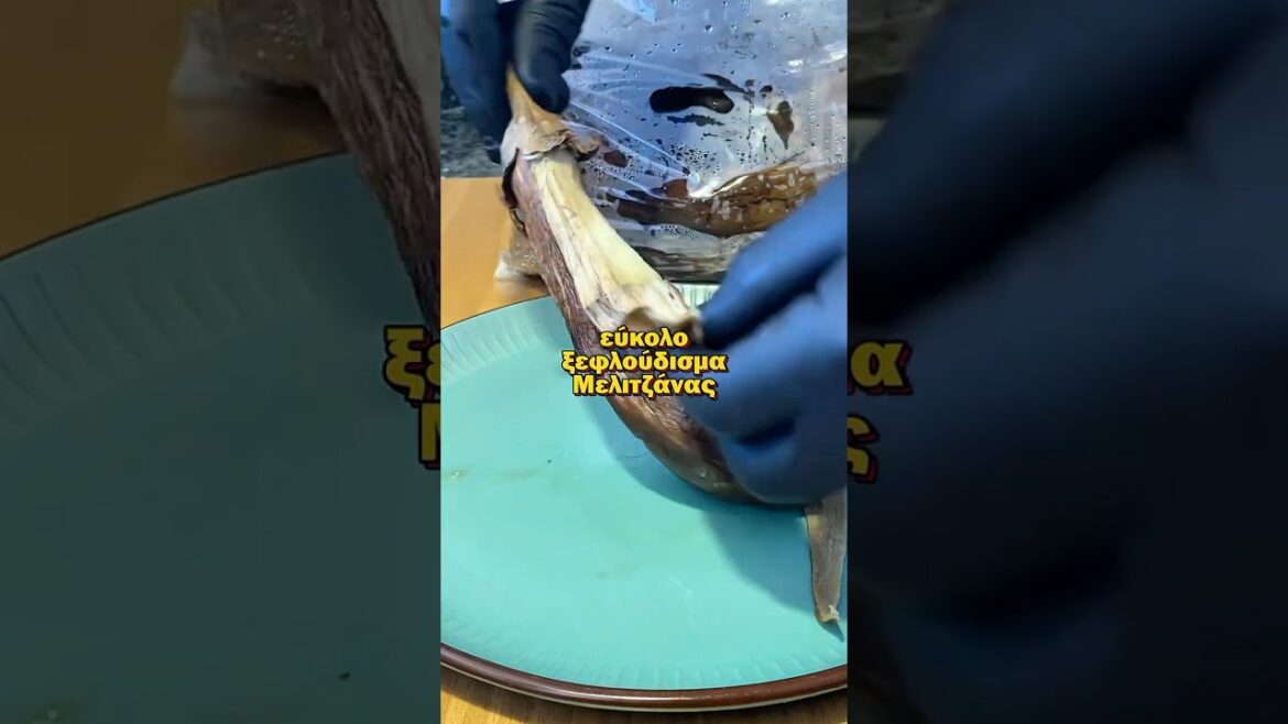 Παιχνιδάκι το Ξεφλούδισμα Μελιτζάνας #μελιτζάνα #συνταγή #μαγειρική #steliosmixailidis #μελιτζάνεσ