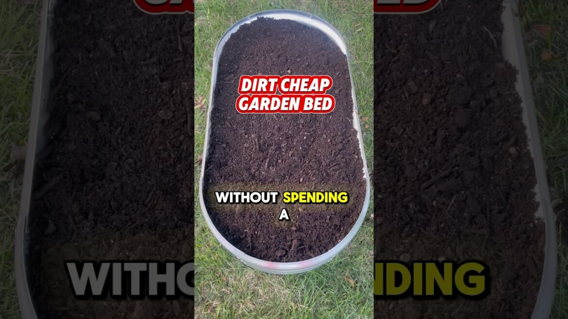 How to Fill a Raised Garden Bed for FREE!