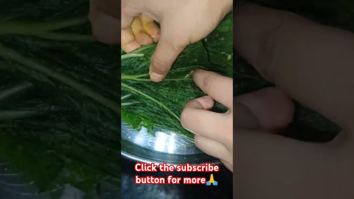 delicious and crispy pumpkin leaf pokoras!! ❤ #food #trending #cooking #foodpassion #recipe #food delicious and crispy pumpkin leaf pokoras!! ❤ #food #trending #cooking #foodpassion #recipe #food