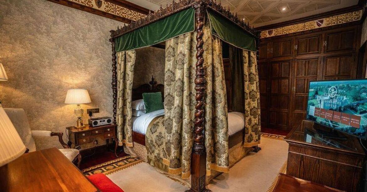 Hotel near Gloucestershire offers ‘Home Alone 2 Christmas experience’ with incredible itinerary Ipso logo