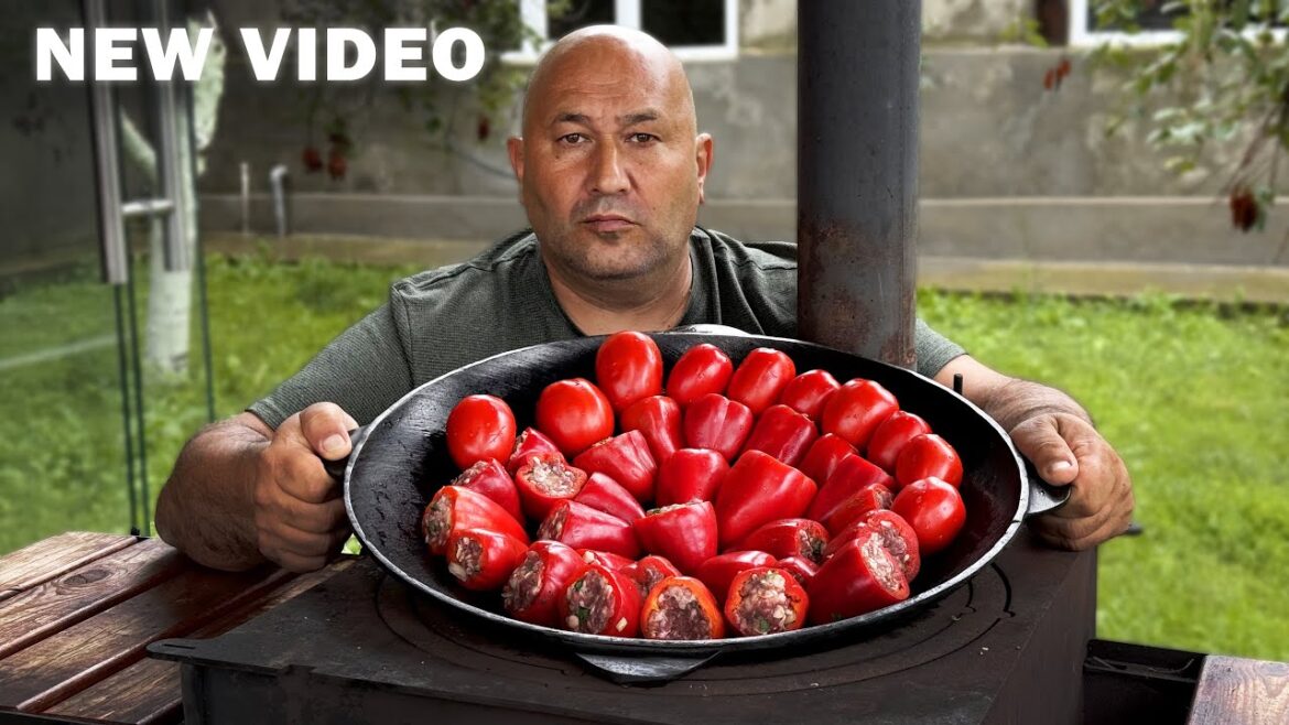 Prepare Dolma from RED PEPPER, it’s very tasty!