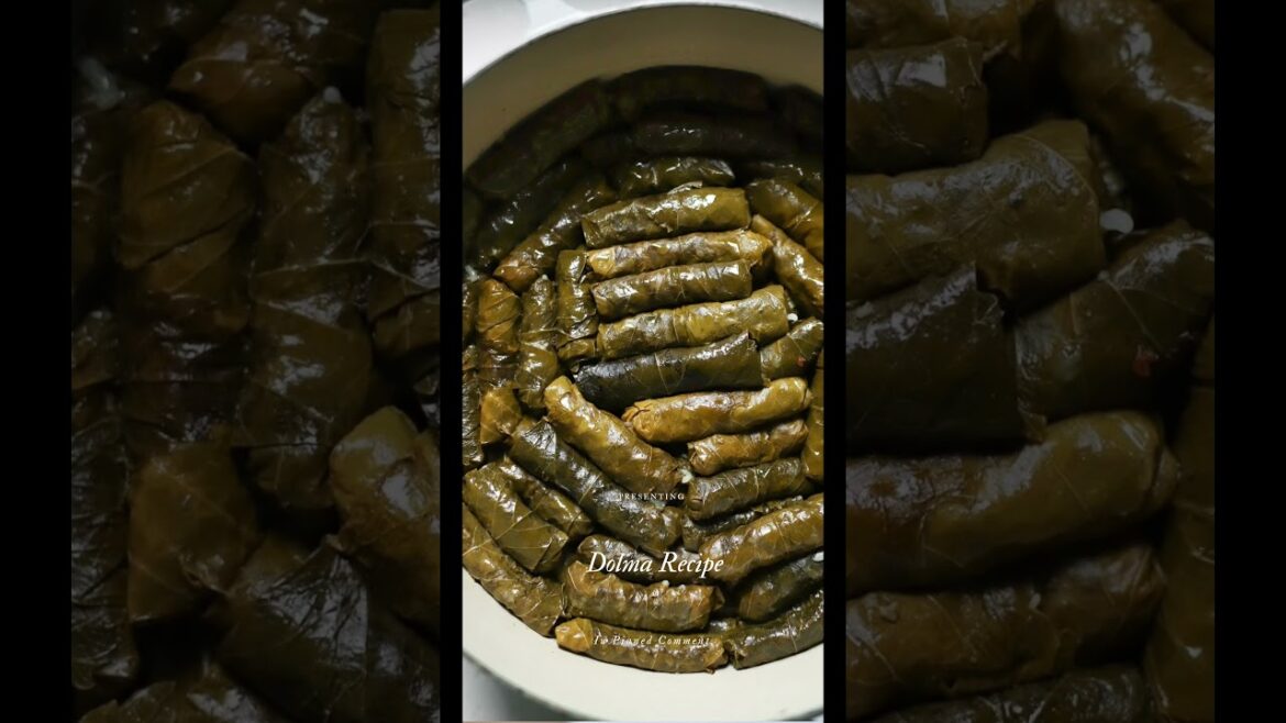 Dolma | Middle Eastern Cuisine