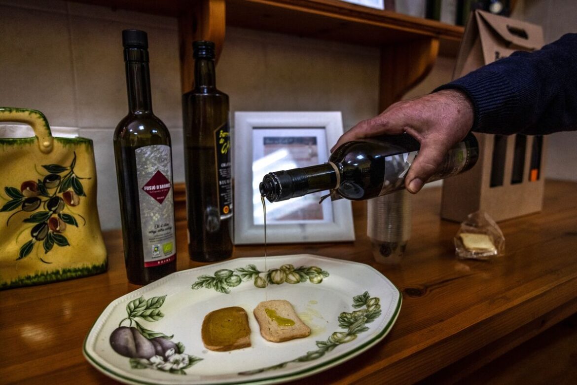 Olive Oil Prices: Crisis Is Over But My Fears Aren’t