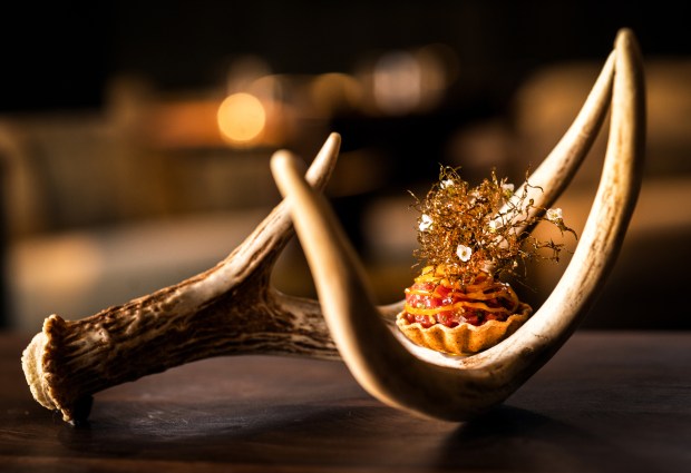 Venison tartar set in a smoked oat tart and topped in lacy fried, edible lichen served on a deer antler from multicourse tasting menu at Enclos in Sonoma, Thursday, Jan. 16, 2025. (John Burgess / The Press Democrat)