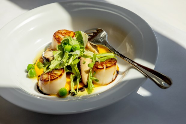 Pan Roasted Hoddaido Scallops with sunchoke purée, pickled shiitake mushroom, fennel, radish and arugula from Terrapin Creek Cafe Restaurant Friday, May 30, 2025 in Bodega Bay. (John Burgess / The Press Democrat)
