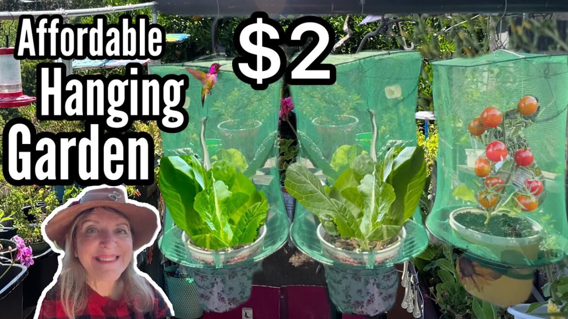 Hanging Garden ￼Pest FREE, Small Space Growing Container Vegetable Gardening Lettuce Herbs Cilantro