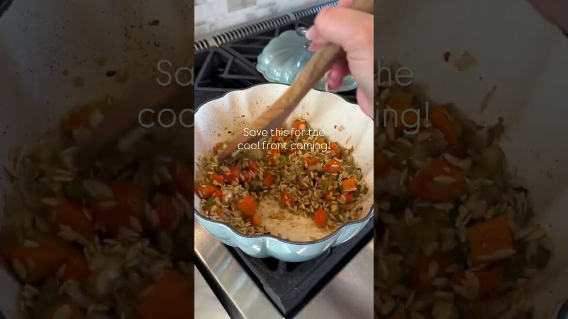 ITALIAN WEDDING AND ORZO SOUP!