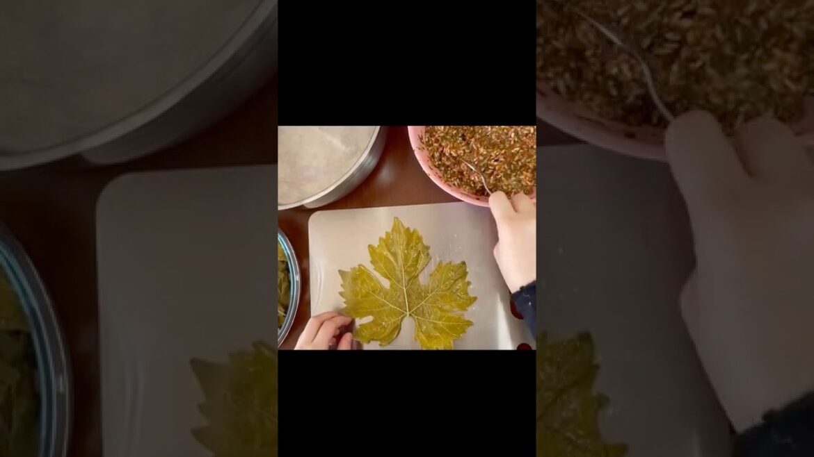 Kıymalı Yaprak Sarması Nasıl Yapılır ?  #yemektarifleri #yapraksarması  #yemektarifi #food #shorts