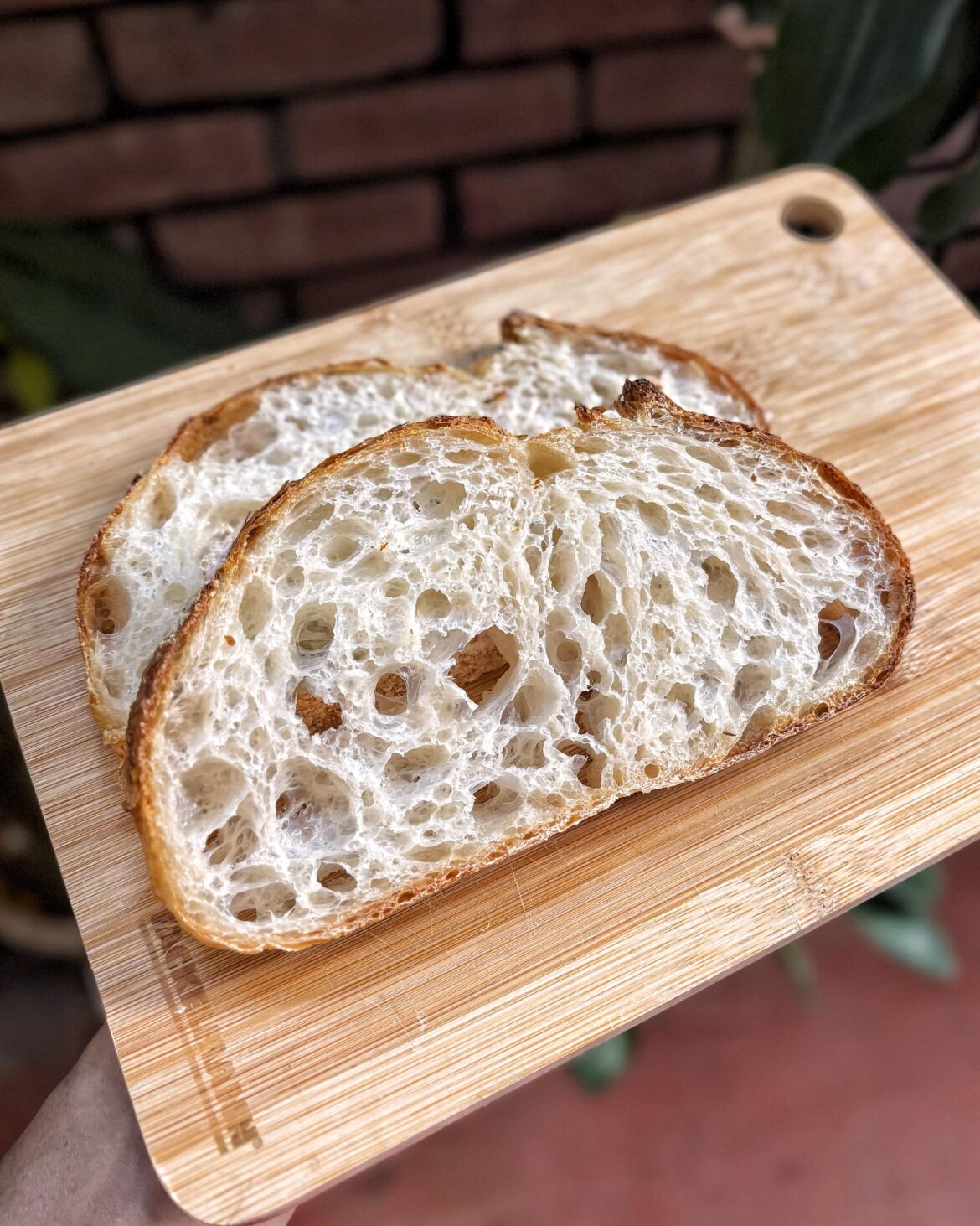 Lacy Crumb Sourdough