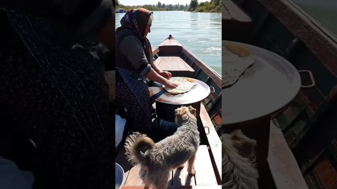 Lebanese Grandma and Dog Cooking Kibbeh Stew on a Boat” #grandmacooks Lebanese Grandma and Dog Cooking Kibbeh Stew on a Boat” #grandmacooks