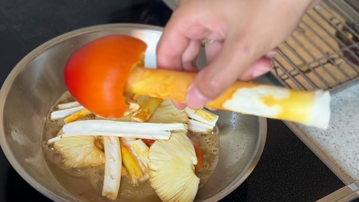 Wild Luxury: Giant Amanita Cream Pasta Wild Luxury: Giant Amanita Cream Pasta