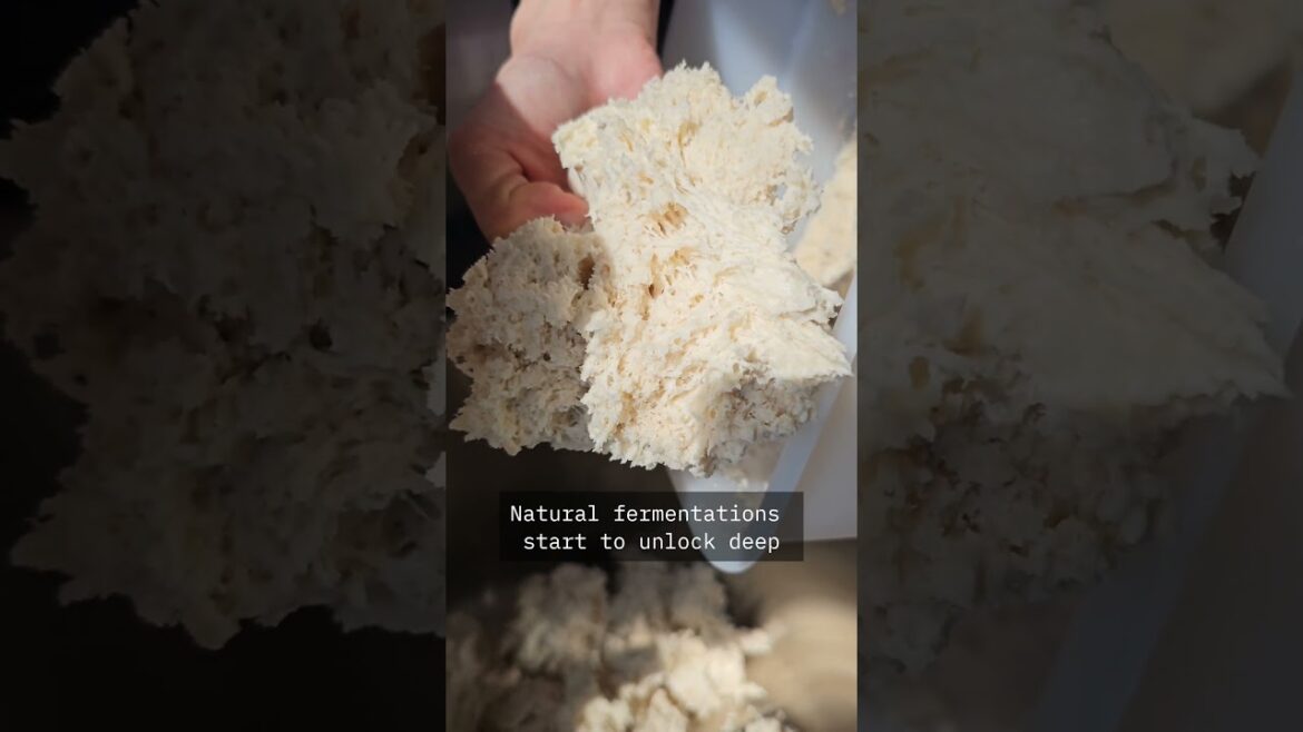 Ep. 7 Why time matters? #uglydoughpizza #pizza #food #neapolitanpizza #oregonpizzatruck Ep. 7 Why time matters? #uglydoughpizza #pizza #food #neapolitanpizza #oregonpizzatruck