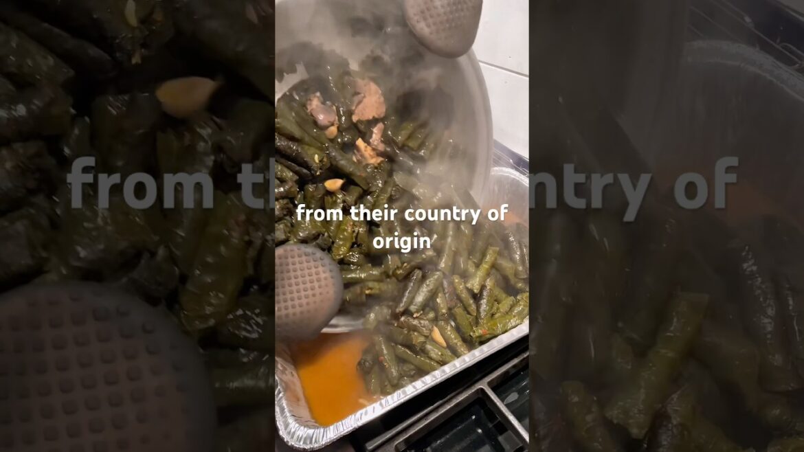Who ACTUALLY created Grape leaves? #dolma #grapeleaves #food #arab #history #sarma