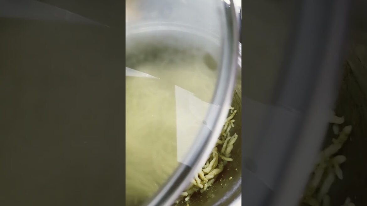 trofie al pesto #ranitaf3 #cooking #bonnecuisine #food #recipe #shorts #trending #like #milano