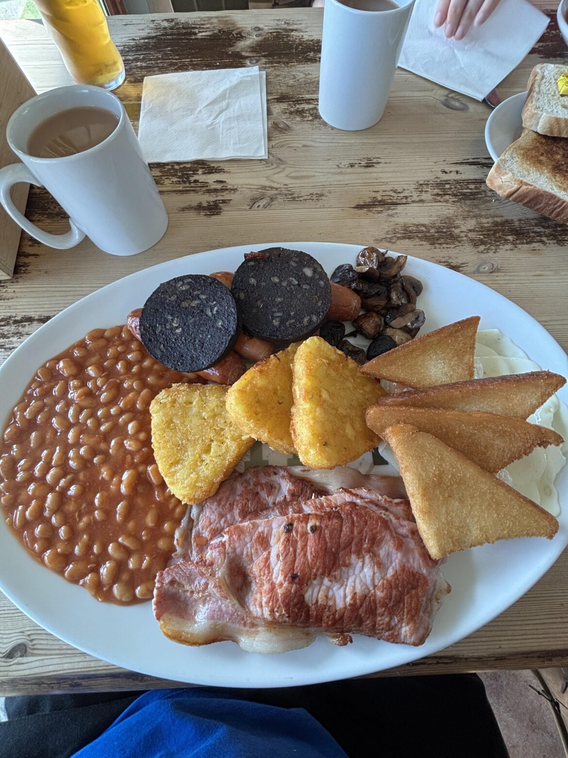 £13.00 - “The Albatross”, Caddies Cafe, Haverfordwest