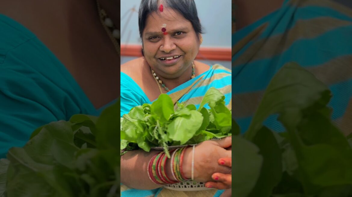 Harvesting #garden #fruits #reddragonfruit #natural #mini