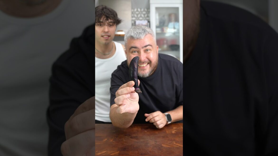 Eggplant Kebab @EmirElidemirYouTube