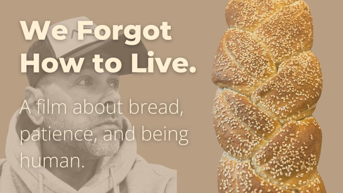 The Cost of Convenience | Bread and the Life We Forgot