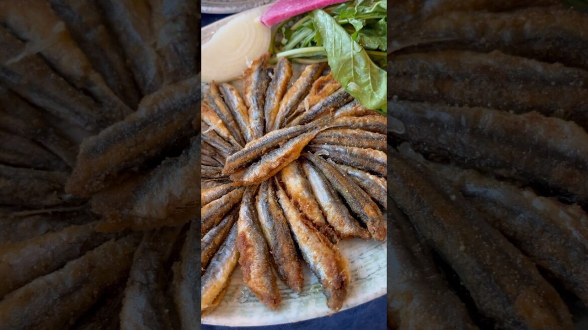 Hamsi tava #hamsitava #istavrit #palamut #somonavı #balık #balıkavı #karadeniz #balıkçı #akşamlar