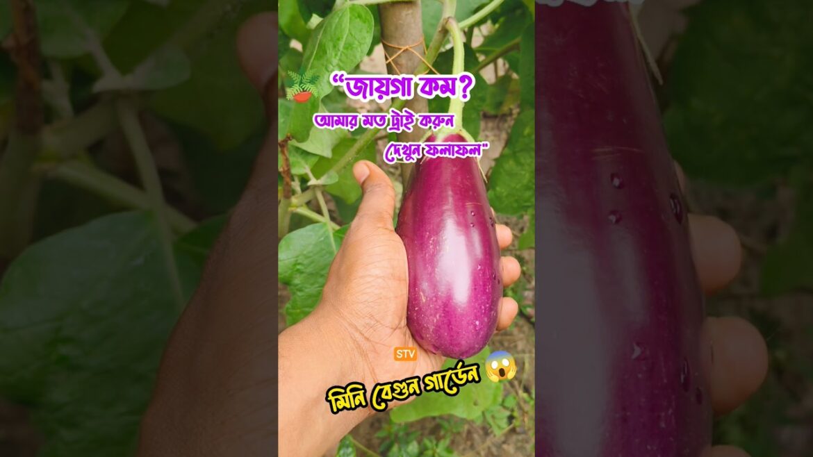 Vegetable Garden Ideas|From awkward Space To Stunning Garden